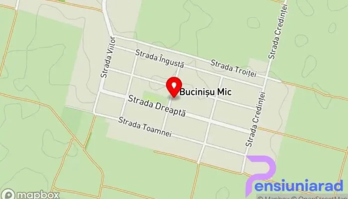 Bucinisu Mic Hartă - Bucinișu Mic