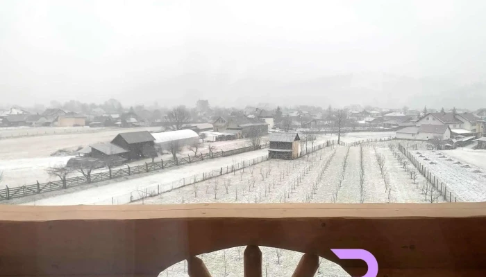 Bucovina Exclusiv -  Cele Mai Recente - Vama