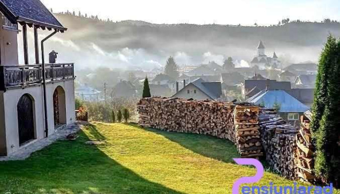 Bucovina Lodge - Vama