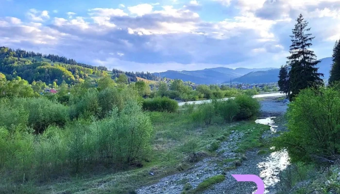 Bucsoaia Munte - Bucșoaia