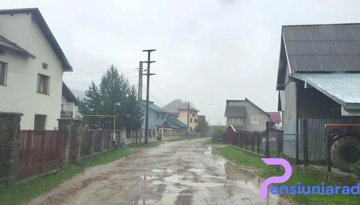 Bucșoaia - Bucșoaia
