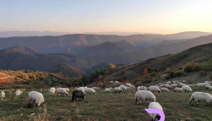 Bunila -  Cum Să Ajungi Acolo - Bunila