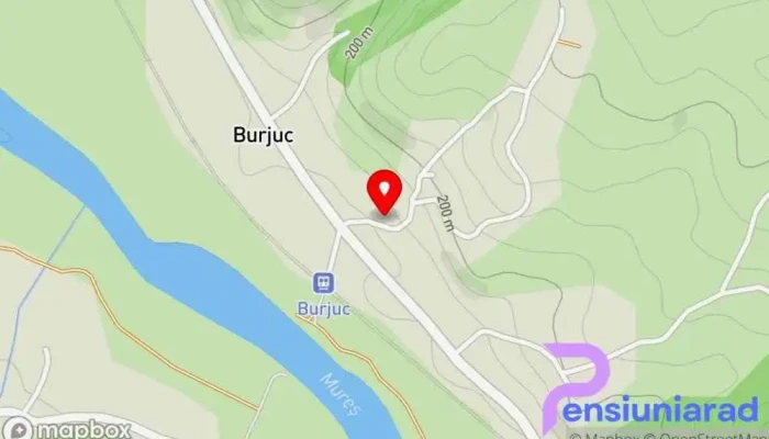 hartă a Burjuc  în Burjuc