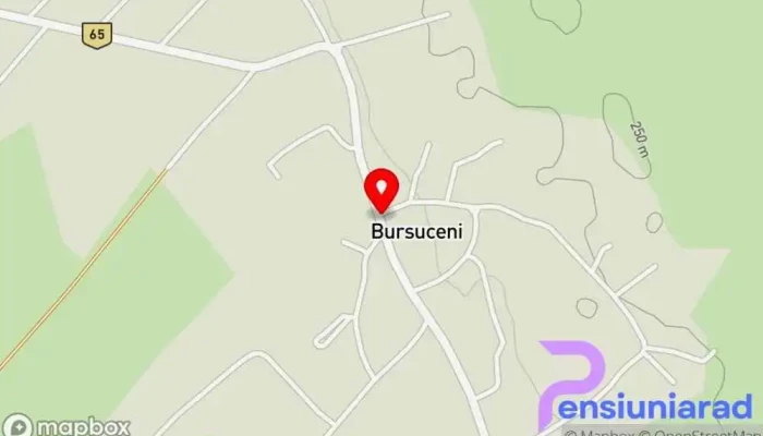 hartă a Bursuceni  în Bursuceni