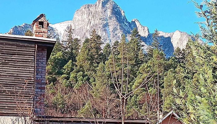 Busteni House De La Vizitatori - Bușteni