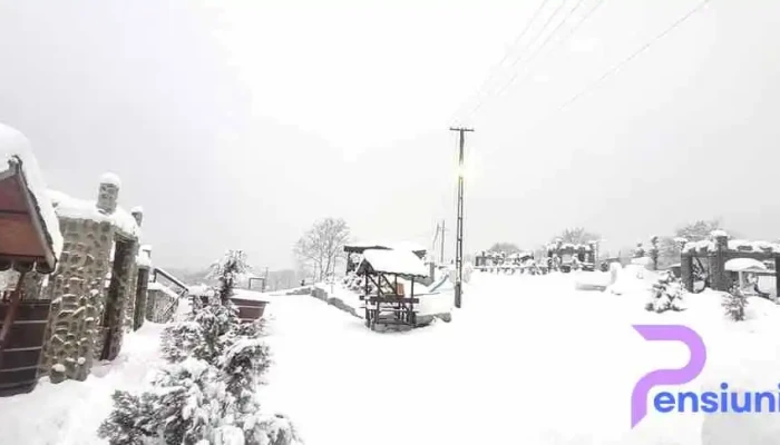 Bănița - Bănița