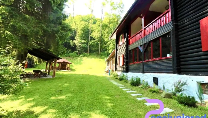 Cabana Basmelor -  Zonă - Râu Sadului