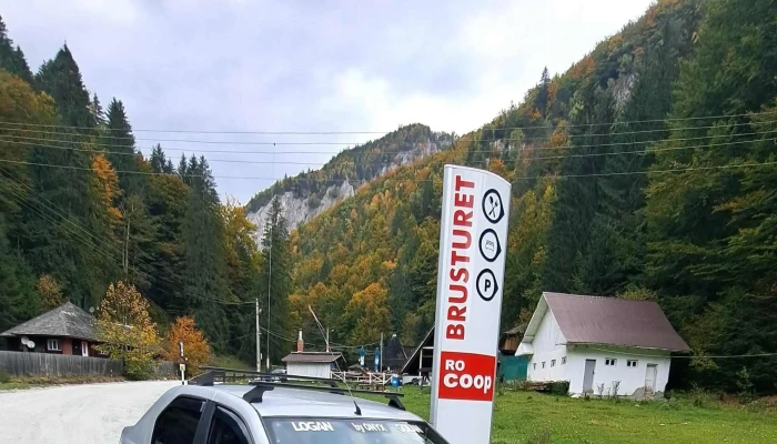 Cabana Brusturet -  Deschis Acum - Dâmbovicioara