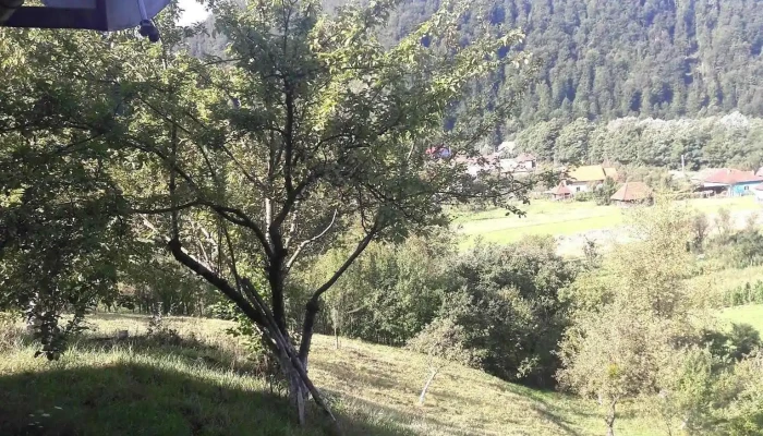 Cabana Bulz -  De La Vizitatori - Bulz