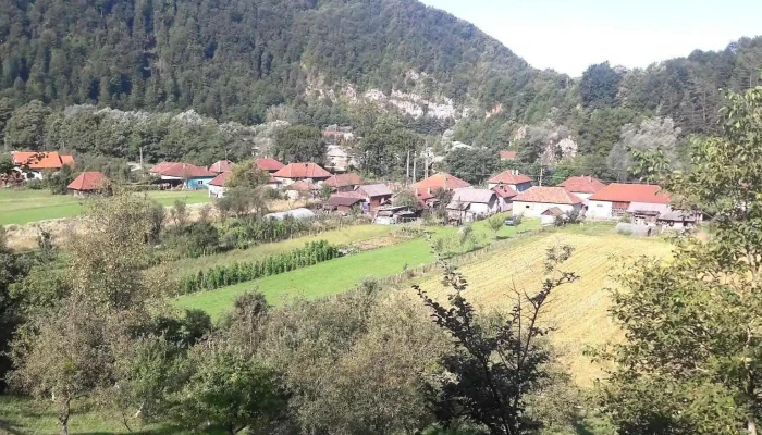 Cabana Bulz -  Exterior - Bulz