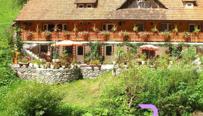 Cabana Buruia -  Exterior - Bulzeştii De Sus
