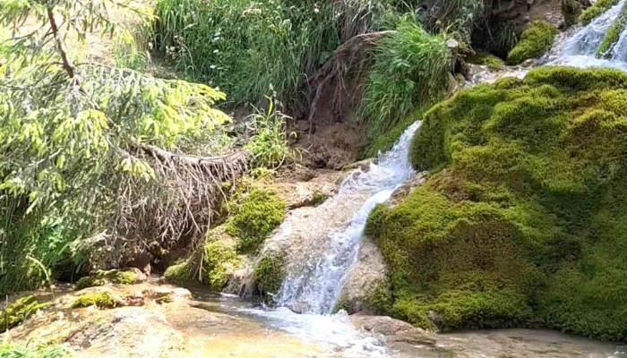 Cabana Cascada -  De La Vizitatori - Nemeși