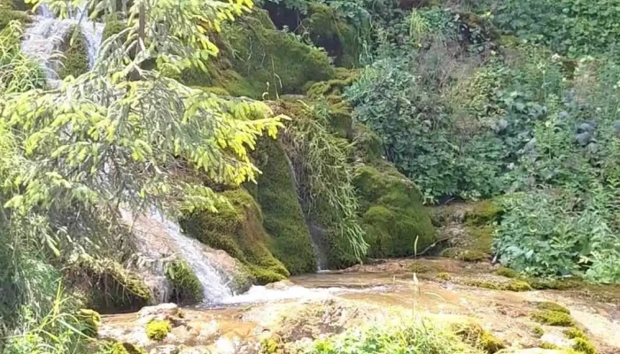 Cabana Cascada -  Videoclipuri - Nemeși