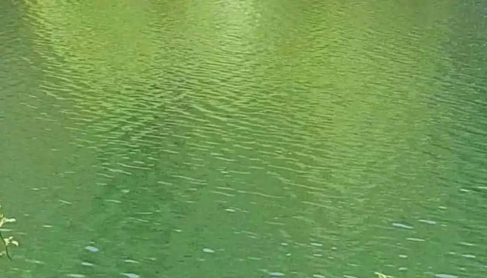 Cabana Cerbu Valea Minisului De La Vizitatori - Bozovici