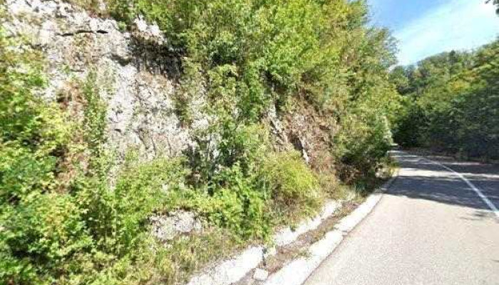 Cabana Cerbu Valea Minisului Street View Si 360deg - Bozovici