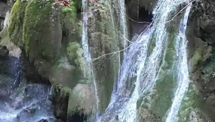 Cabana Cerbu Valea Minisului Videoclipuri - Bozovici