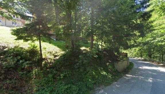 Cabana Cory Rausor Street View Si 360deg - Râu De Mori