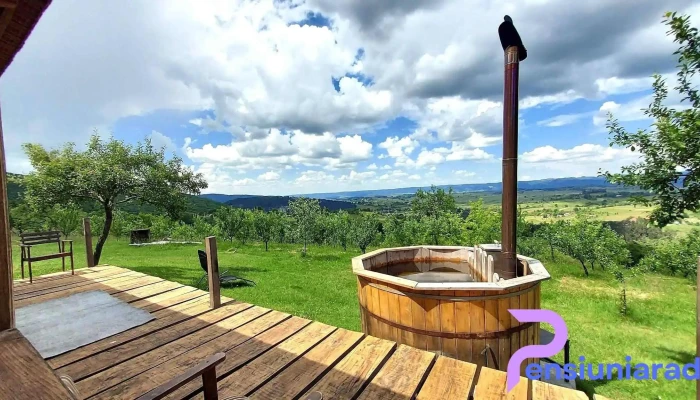Cabana Danut Exterior - Bălnaca