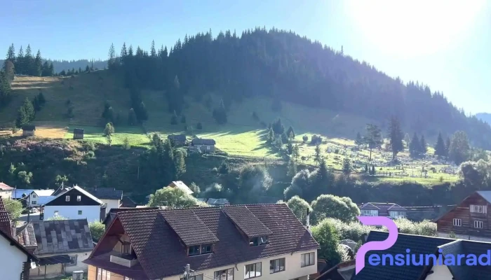 Cabana De Pe Stanca -    Hotel Videoclipuri - Cîrlibaba Nouă
