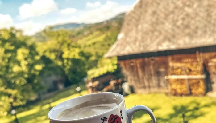 Cabana Din Damb Mancaruribauturi - Râșca