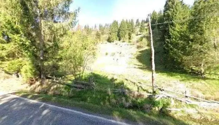 Cabana Elena -  Street View Si 360deg - Dealu Bajului