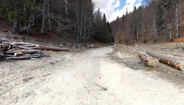 Cabana Gura Diham -  Street View Si 360deg - Strada Valea Cerbului