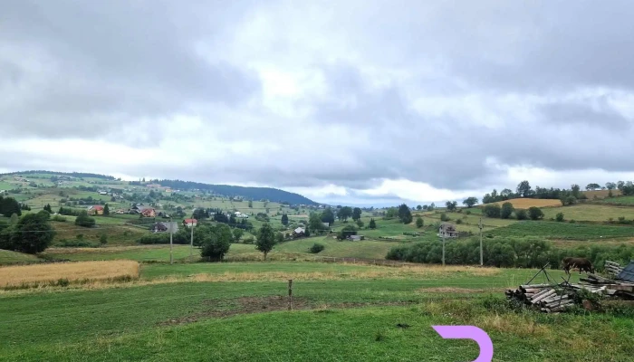 Cabana Izabela -  De La Vizitatori - Mărișel