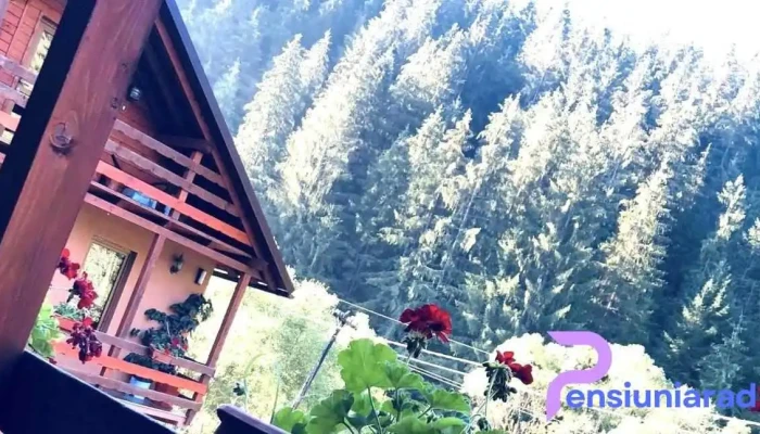 Cabana Loredana -  De La Proprietar - Alba