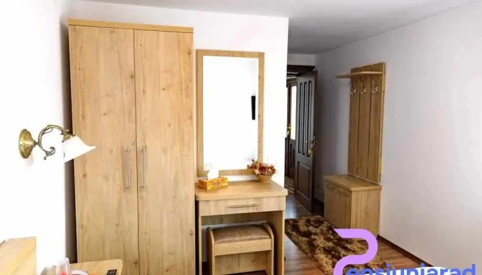 Cabana Nemtisor De La Proprietar - Nemțișor