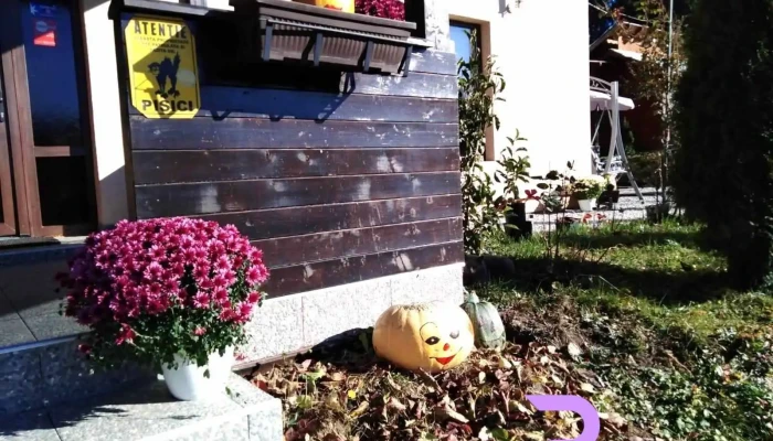 Cabana Paraul Rece Exterior - Vatra Dornei