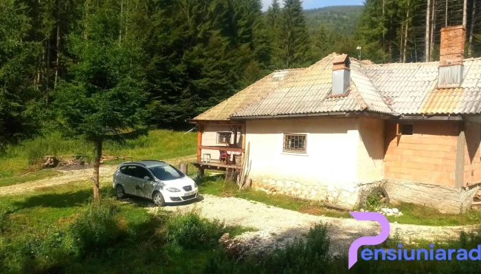 Cabana Pietricica -  De La Vizitatori - Dâmbovicioara
