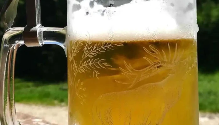 Cabana Pietricica -  Mancaruribauturi - Dâmbovicioara