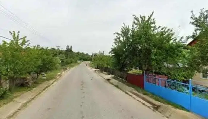 Cabana Radacina -  Street View Si 360deg - Dobrovăț