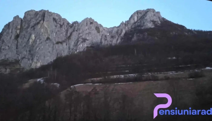 Cabana Ramet -  De La Vizitatori - Valea Mănăstirii