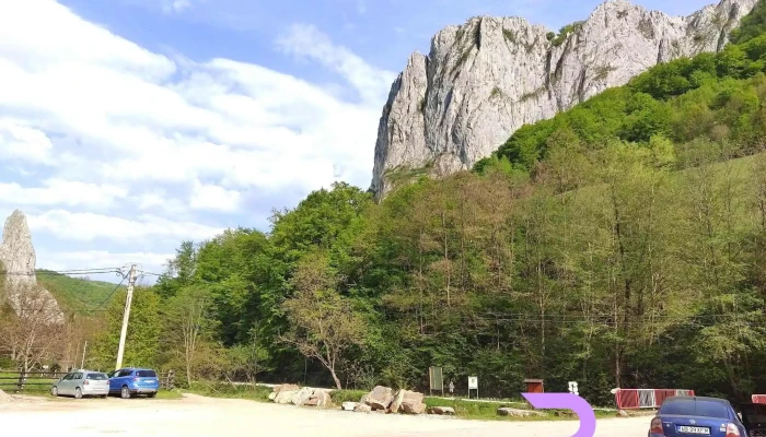 Cabana Ramet -  Exterior - Valea Mănăstirii