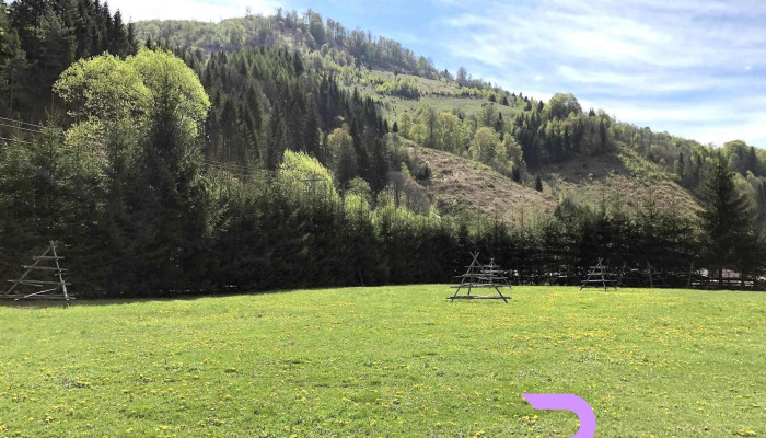 Cabana Rausor De La Proprietar - Rucăr