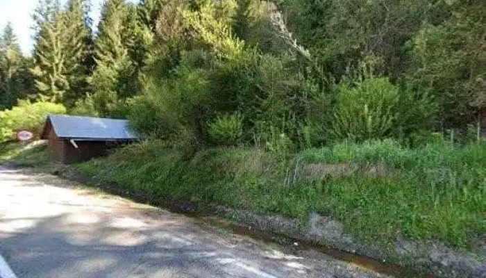 Cabana Robert -  Street View Si 360deg - Gârda De Sus