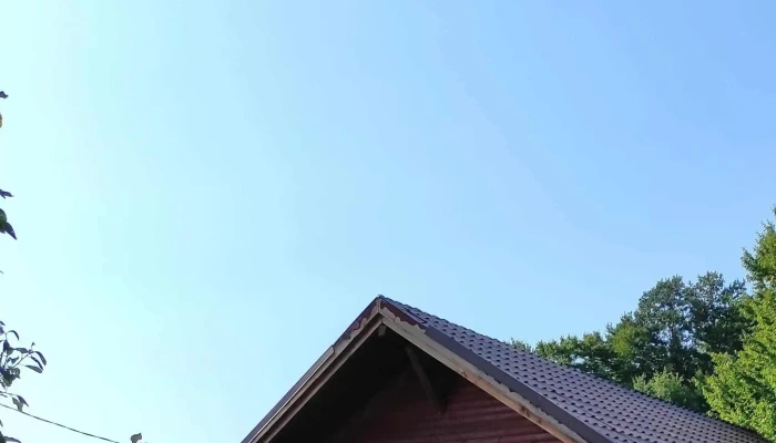Cabana Rosia Videoclipuri - Roșia