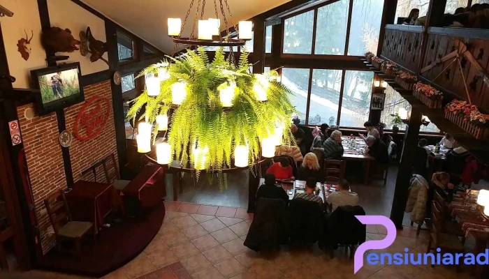 Cabana Schiori -  Videoclipuri - Sinaia