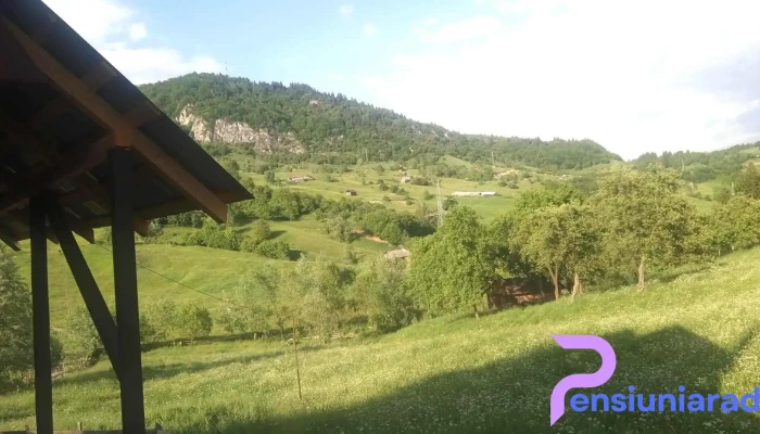 Cabana Simon -  De La Vizitatori - Rucăr
