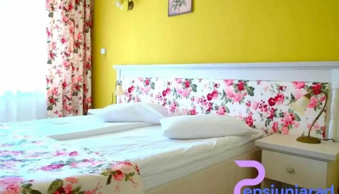 Cabana Soimul Camere - Dărmănești