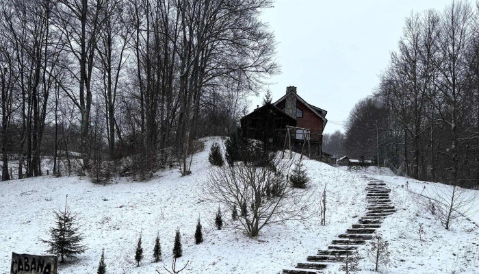 Cabana Subbai Aproape De Mine - Teșila