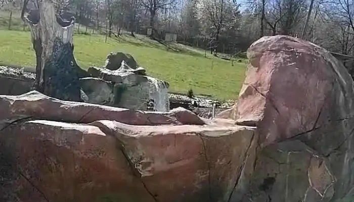 Cabana Suncuius De La Vizitatori - Șuncuiuș