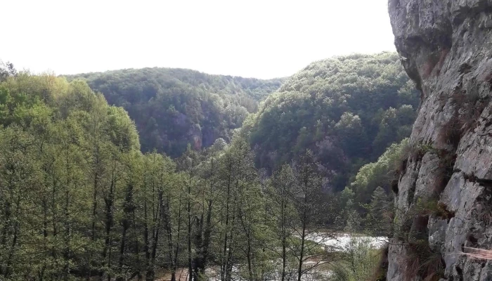 Cabana Suncuius șuncuiuș - Șuncuiuș