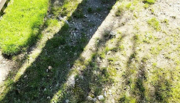 Cabana Suvenirurilor -  Videoclipuri - Ghețari
