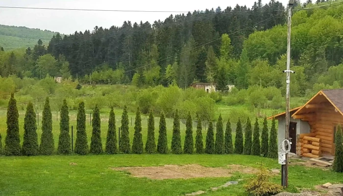 Cabana Tin -  Catalog - Păltinoasa