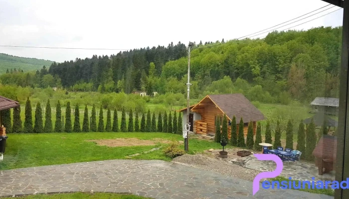 Cabana Tin -  Exterior - Păltinoasa