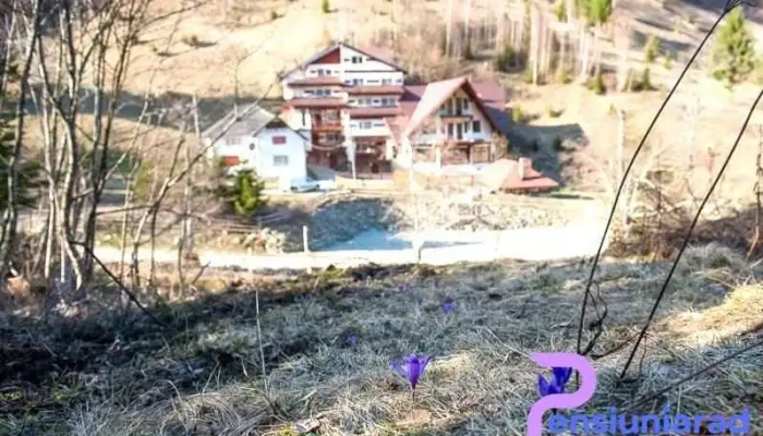 Cabana Valea Haiducilor -  Exterior - Rucăr