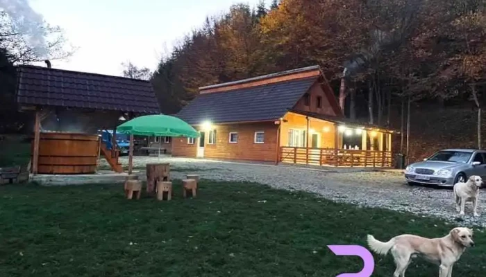 Cabana Valea Lungă - Almașu Mare 517030