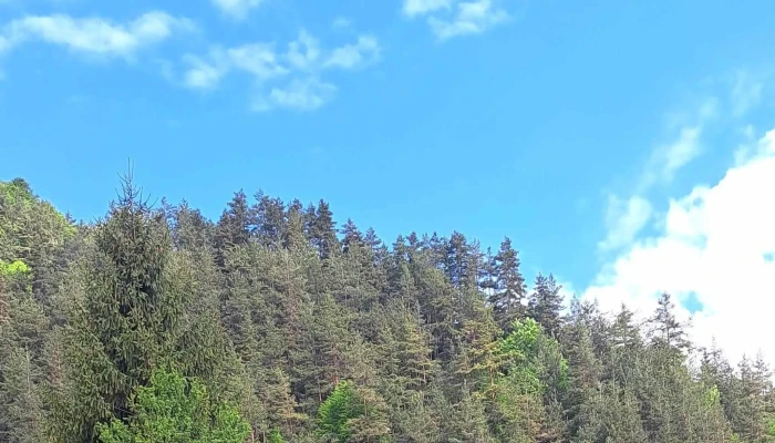 Cabana Valea Sadului -  Reduceri - Râu Sadului